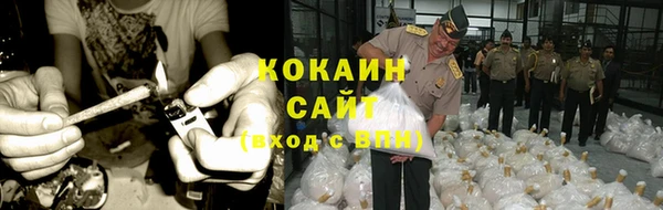 гашик Богородицк