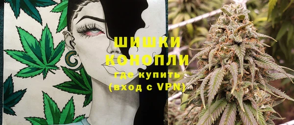 спайс Богданович